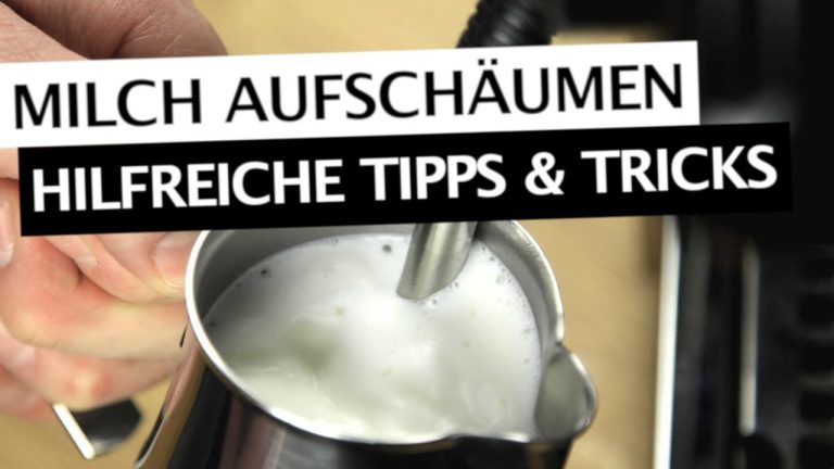 Tipps für ein optimales Dampferlebnis